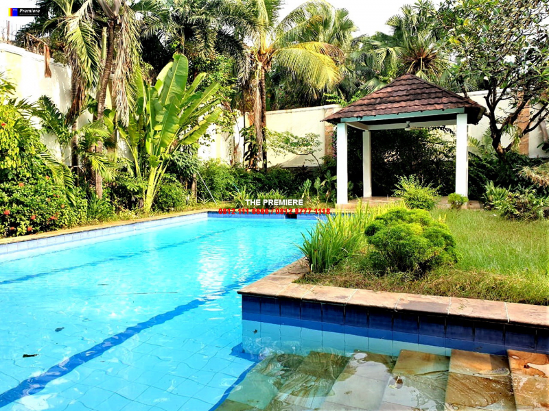 Disewakan Rumah Pejaten Barat, Pejaten, Jakarta Selatan, KOLAM RENANG EXPATRIAT